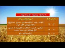Embedded thumbnail for ၂၆-၉-၂၀၂၅ ရက်နေ့မှ ၂-၁၀-၂၀၂၅ ရက်နေ့အတွင်း ဖြစ်ပေါ်နိုင်သည့် စိုက်ပျိုးရေး မိုးလေဝသ သတင်း